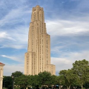 Meet your Posher, Ann